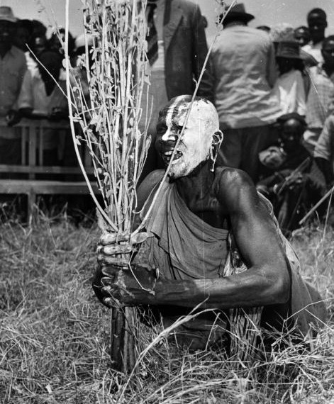 Скотоложство и каннибализм против колонизации и цивилизации | Фото: Getty Images