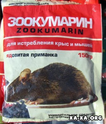 Тимошенко травят крысиным ядом
