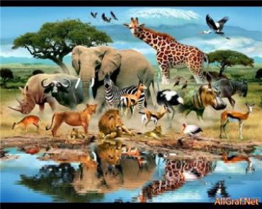 Через полтора века фауна на Земле полностью вымрет