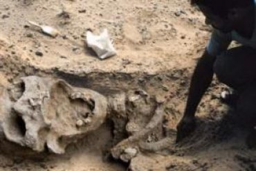 В Эквадоре найден скелет человека более 7 метров