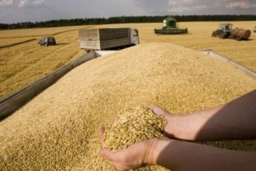 Накормить 140 миллионов. Сколько зерна экспортирует Украина