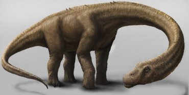 Ученые: обнаружен новый вид динозавров