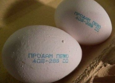 Директор птицефабрики разместил объявление о продаже своего авто на куриных яйцах