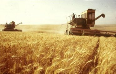 Украина захватила ключевые рынки сбыта зерна России