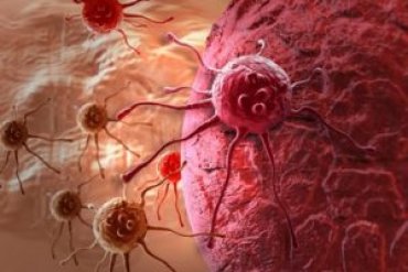 Ученые впервые смогли принудить раковые клетки к суициду