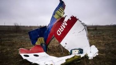 290 родственников пассажиров рейса MH17 подали в суд на Путина