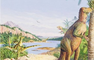 Англичанка нашла на пляже хвост динозавра