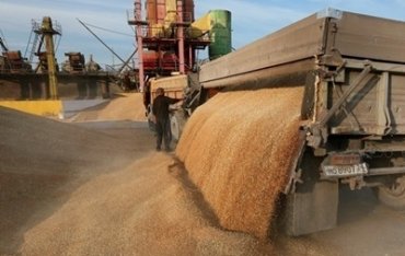 Китай стал главным импортером украинского зерна