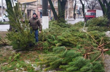 В Одессе продавцы оставили на улицах тысячи непроданных елок. Фото
