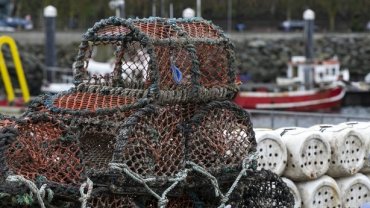 Ирландские рыбаки решили сорвать российские военные учения