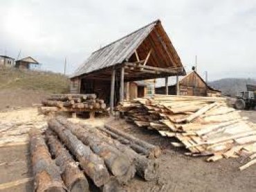 СМИ: Для резиденции Януковича срубят деревьев почти на 2 млн грн