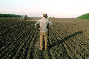 Всемирный банк назвал проблемы земельной реформы