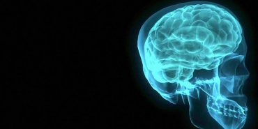 Ученые обнаружили в мозге область, которая отвечает за совесть
