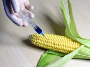Китай намерен активизировать исследования в области ГМО