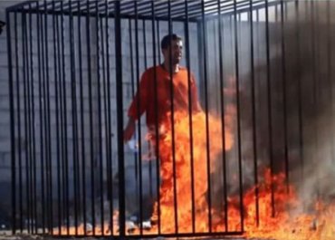 Исламский мир осудил сожжение иорданского летчика террористами «Исламского государства»