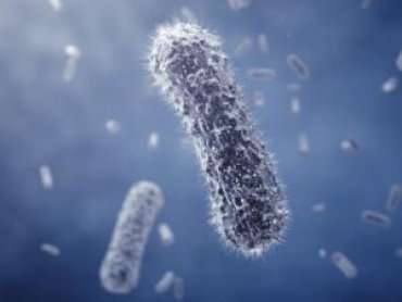 Ученые: микроорганизмы появились на Земле более 3,2 миллиарда лет назад
