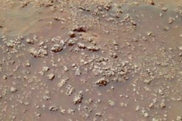 На Марсе нашли следы древней жизни