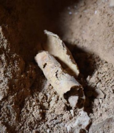 Археологи нашли у Мёртвого моря разграбленный кумранский тайник с древними рукописями