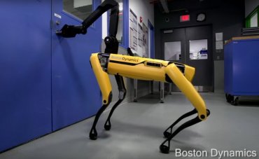 Робособаки Boston Dynamics сбежали с запертого склада