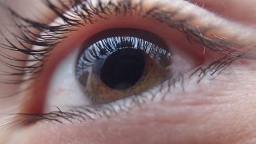 Новый алгоритм Google прогнозирует болезни сердца по сетчатке глаза