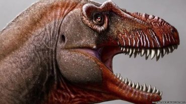 В Канаде нашли неизвестный вид динозавра