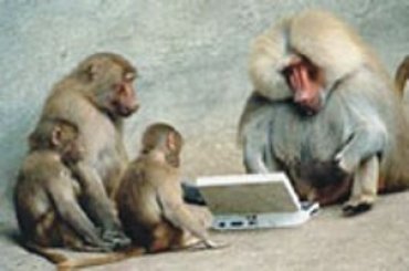 Илон Маск научил обезьяну играть в компьютерные игры