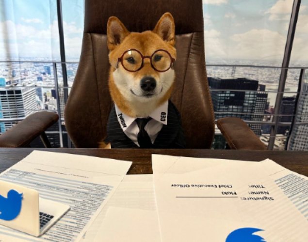 Маск “назначил” новым гендиректором Twitter своего пса
