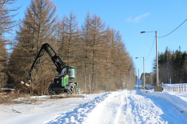 Финляндия начала строительство ограждения на границе с Россией