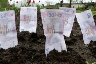 Налог на землю в Украине хотят поднять в 10 раз