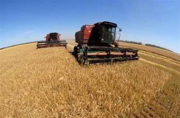 Украине обещают рекордный урожай зерна
