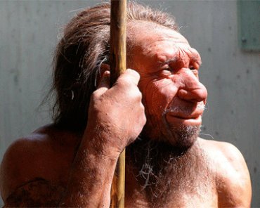 Расшифрованный геном неандертальца выложили в интернет