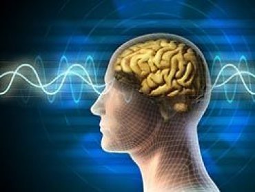 Специалисты из США научат мозг человека управлять сознанием других людей