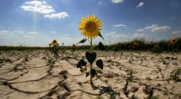 Исследование: На Земле возрастает опасность засух