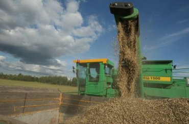 Первый прогноз: урожай зерновых в Украине может составить 50,5 млн тонн