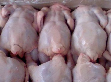 На украинский рынок попало 178 тонн сальмонеллезной курятины