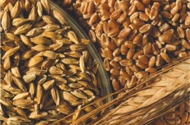 Украина за год продала за границу 26 млн тонн зерна