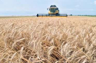 В Украине готовится «аграрная» приватизация