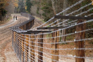 Эстония тоже построит забор на границе с Россией