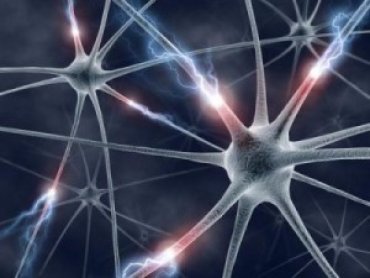 Ученые научились подавать новые знания прямо в мозг человека