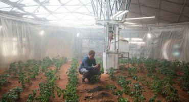 Ученые вырастили помидоры в марсианском грунте