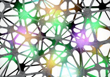 Биотехнологическая компания использует нейроны человека для создания новых мощных компьютеров