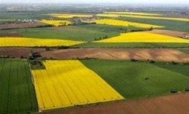 В Украине готовят к распродаже 10 тысяч гектар земли