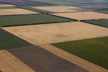 Украине необходимо тратить 50 млрд грн ежегодно для сохранения плодородия почвы