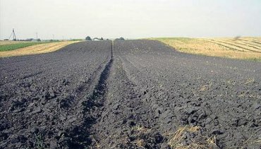 Житница Европы: эксперт рассказал о потере потенциала украинских черноземов