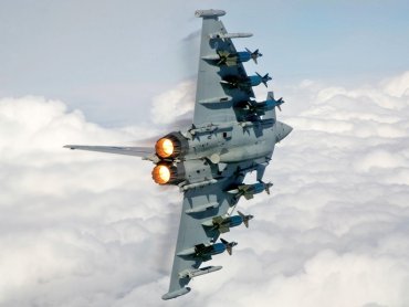 Истребители НАТО могли уничтожить самолет с Сергеем Шойгу над Балтикой