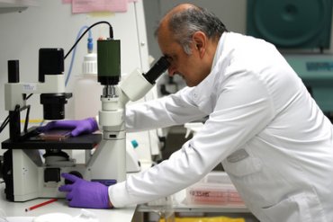 Американские ученые предложили уничтожать рак с помощью вирусов
