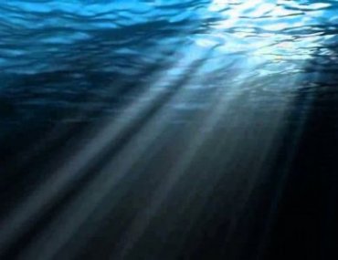 Жизнь под водой: Возможно ли существование людей-амфибий?