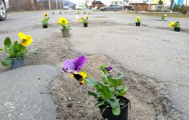 На Закарпатье к приезду Порошенко в дорожных ямах посадили цветы