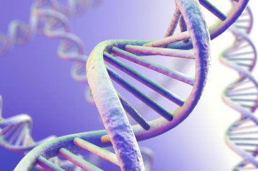 Китайские ученые впервые изменили генотип человека