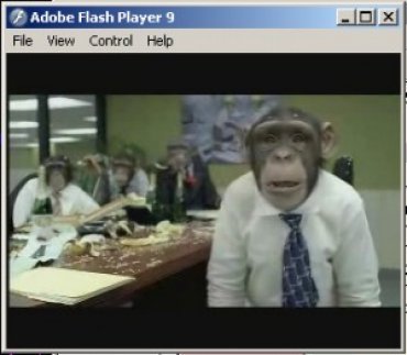 Хакеры взломали переписку Обамы с помощью видео про смешных обезьян